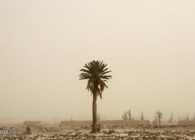 تداوم وزش باد شدید در سیستان و بلوچستان، دریای عمان مواج است