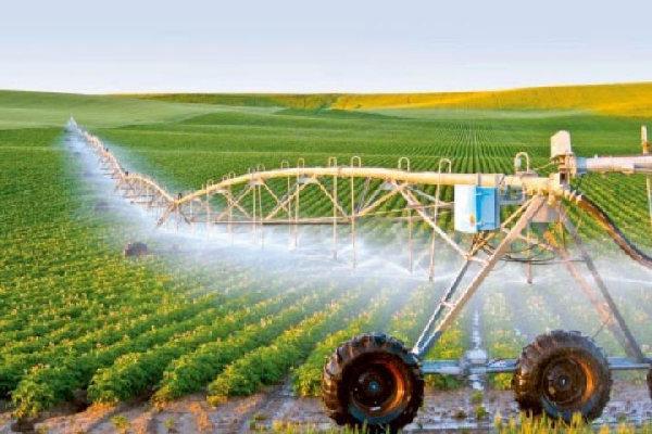 80 درصد آب منابع کردستان در بخش کشاورزی مصرف می گردد