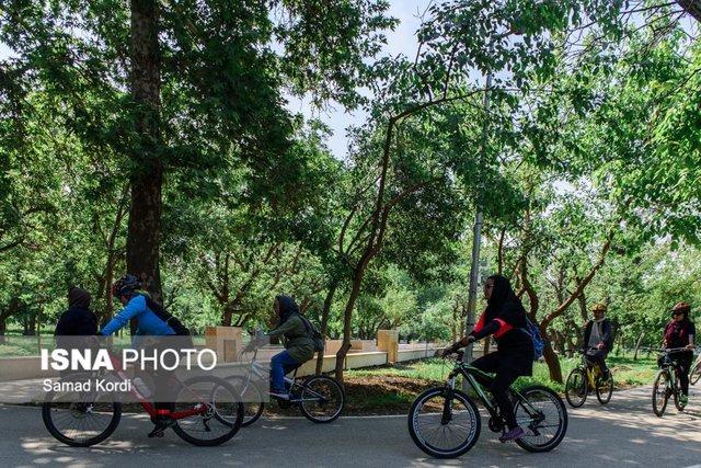 تدوین سند جامع دوچرخه سواری برای تهرانی ها