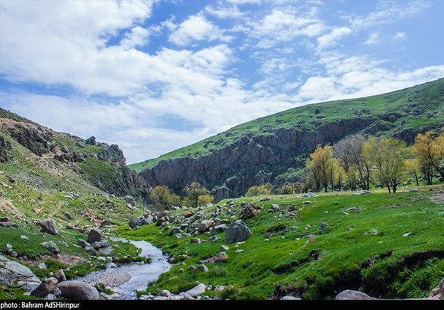 احیای جنگل های زاگرس با همکاری سازمان ژاپنی جایکا احیای جنگل های زاگرس با همکاری سازمان ژاپنی جایکا