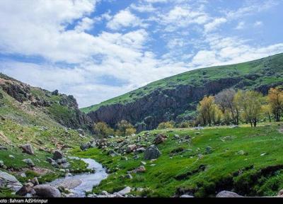 احیای جنگل های زاگرس با همکاری سازمان ژاپنی جایکا