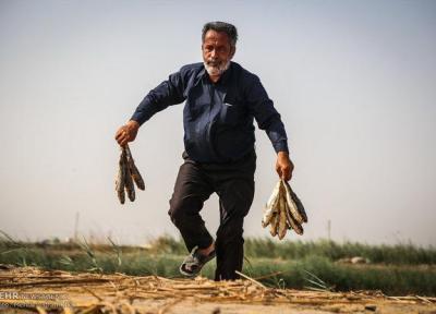 شهروندان از دستفروشان ماهی خریداری نکنند