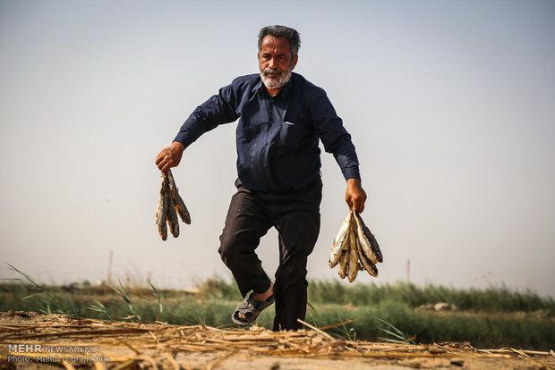 شهروندان از دستفروشان ماهی خریداری نکنند