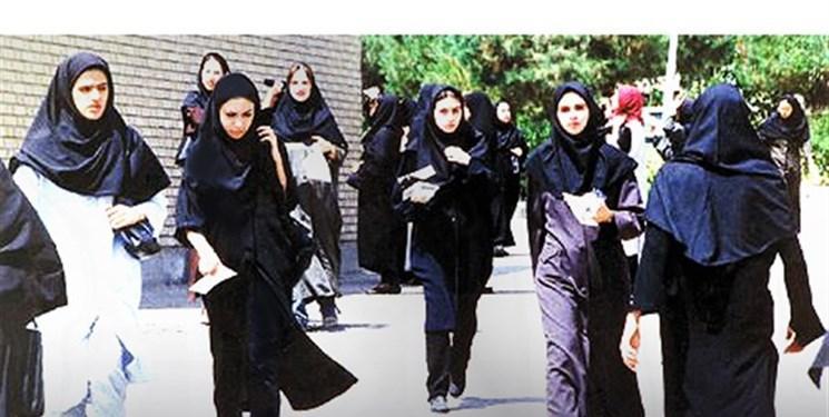 محققان ایرانی با یک گیاه دارویی به کمک درمان بیماری های زنان آمدند