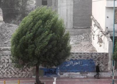 وزش باد نسبتا شدید در تهران طی امروز