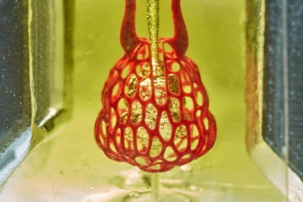 فراوری شبکه عروقی بدن انسان با یاری پرینتر سه بعدی