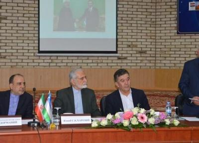 خرازی: دانشگاه های ایران و ازبکستان برای معرفی مشترکات تمدنی اقدام نمایند