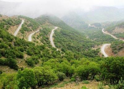 احیای جنگل های بلوط با کمک فناوری های زیستی