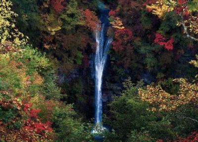 تصویری از طبیعت ژاپن؛ زیبایی آبشار اسب متوقف در یک قاب