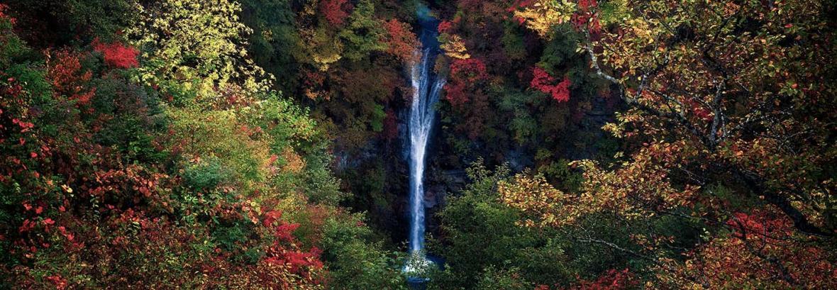 تصویری از طبیعت ژاپن؛ زیبایی آبشار اسب متوقف در یک قاب