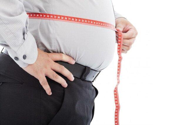 تاثیر چاقی بر کاهش آنتی بادی روده