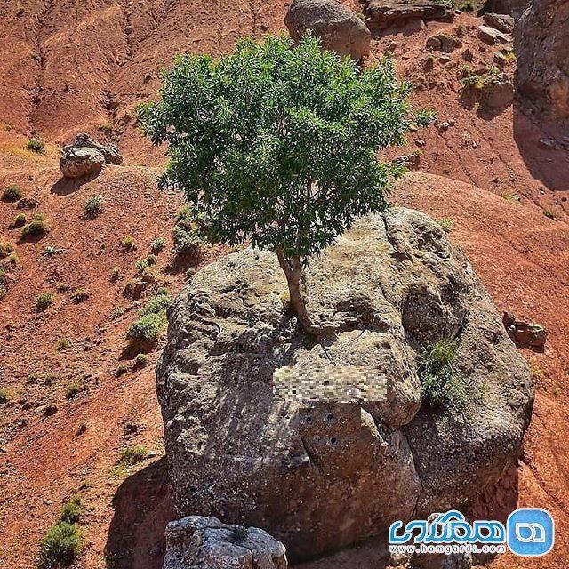 مروارید سبز و سنگ صبورش کجا هستند؟