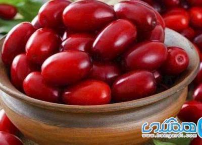 این موادغذایی سالم را برای میان وعده خود انتخاب کنید