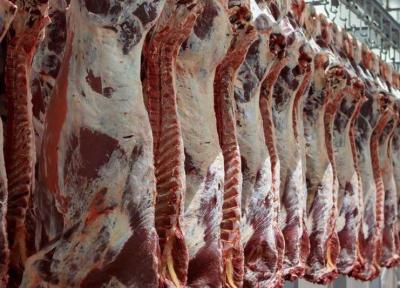 سالانه بیش از 8 هزار تن گوشت قرمز توسط عشایر ایلام تولید می شود
