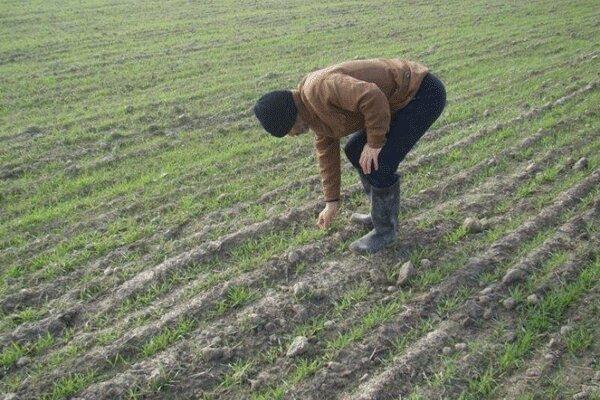بهره برداری از 43 پروژه کشاورزی در خراسان شمالی