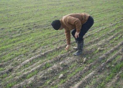 بهره برداری از 43 پروژه کشاورزی در خراسان شمالی