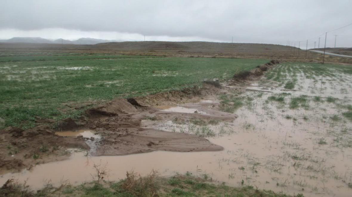 خبرنگاران بارش ها 250 میلیارد تومان به بخش کشاورزی کرمانشاه خسارت زد