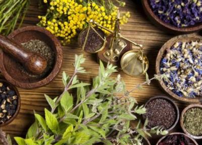 عصاره های گیاهی موثر برای درمان دیابت معرفی گشت