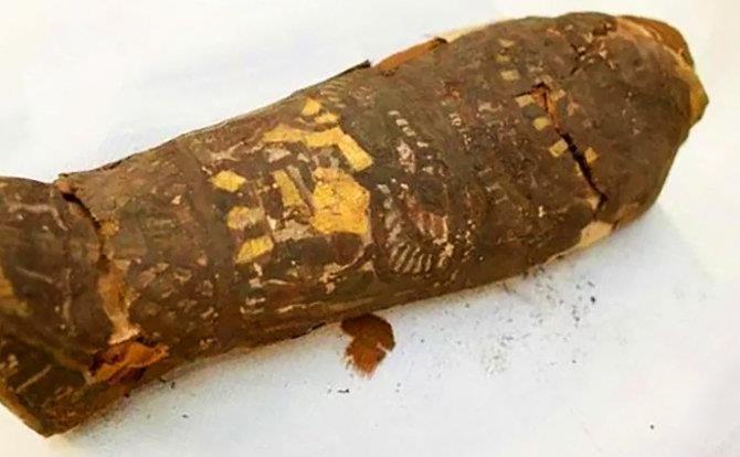 مومیایی 2100 ساله با محتویات مرموز کشف شد