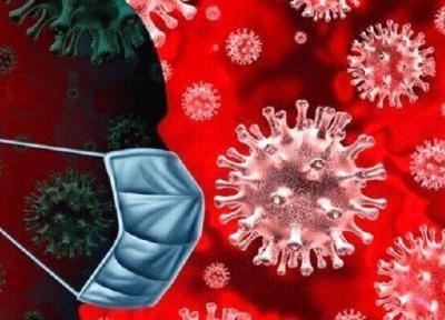 شمار مبتلایان به ویروس کرونا در دنیا از مرز 11 میلیون نفر گذشت