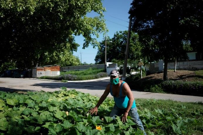 کوبا خطاب به شهروندان: غذای خود را فراوری کنید
