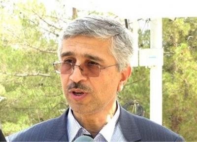 مصرف برق بخش خانگی تا به امروز افزایشی نداشته ، پاداش دولت به مشترکان کم مصرف