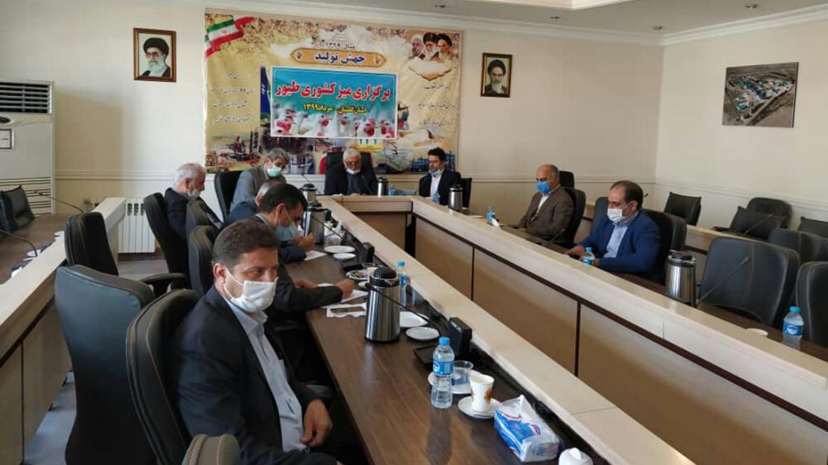 10 درصد مرغ کشور در گلستان تولید می شود 10 درصد مرغ کشور در گلستان تولید می شود