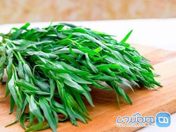 مرزه را فراموش نکنید مرزه را نباید فراموش کنید