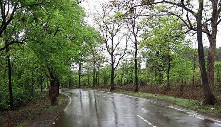 کاهش 5 تا 10 درجه ای دمای هوا در شمال کشور کاهش 5 تا 10 درجه ای دمای هوا در شمال کشور