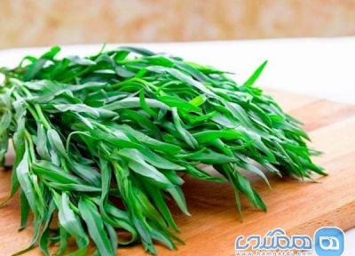 مرزه را نباید فراموش کنید