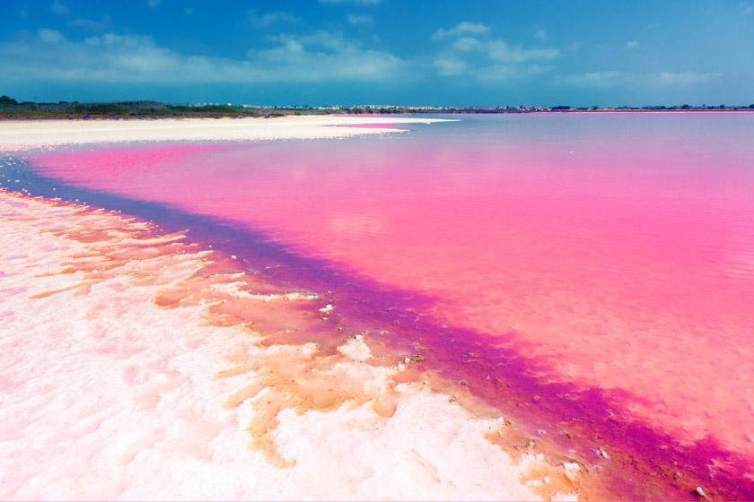 معرفی زیباترین ساحل های جهان به رنگ صورتی