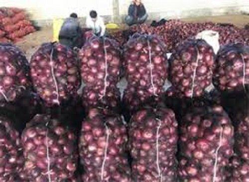 کشف 170تن پیاز احتکار شده در قزوین کشف 170تن پیاز احتکار شده در قزوین