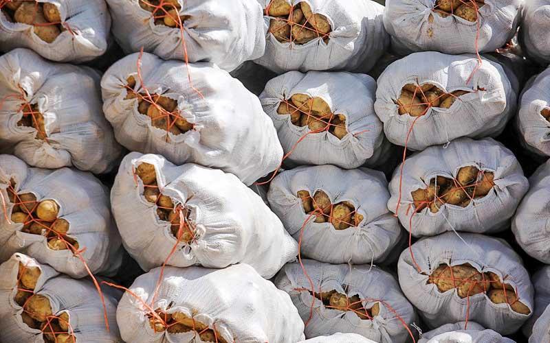 بلاتکلیفی 1100 کامیون سیب زمینی در مرز ایران و عراق