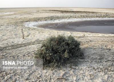 تشکیل کانون ریزگردها در مازندران