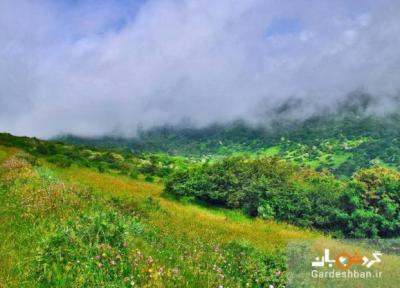 سفری به یادماندنی به جنگل فندق و سوسن اردبیل