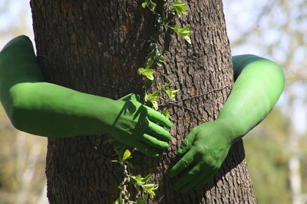 تزیین 20 درخت چنار در خیابان ولیعصر تهران