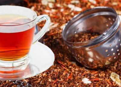 چای رویبوس (بوته چای سرخ) و 5 فایده آن