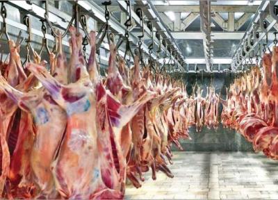 جدیدترین قیمت گوشت قرمز، کاهش قیمت گوشت در بازار