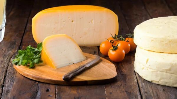 طرز تهیه پنیر گودا خانگی با آموزش مرحله به مرحله