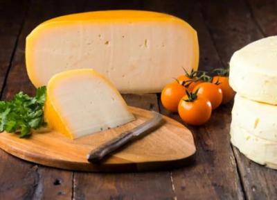 طرز تهیه پنیر گودا خانگی با آموزش مرحله به مرحله